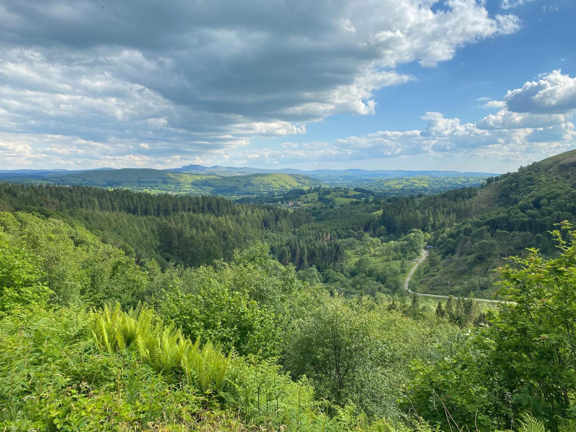 Bronfelin & Troed-Y-Rhiw Holiday Cottage 슬란티드웰즈 외부 사진
