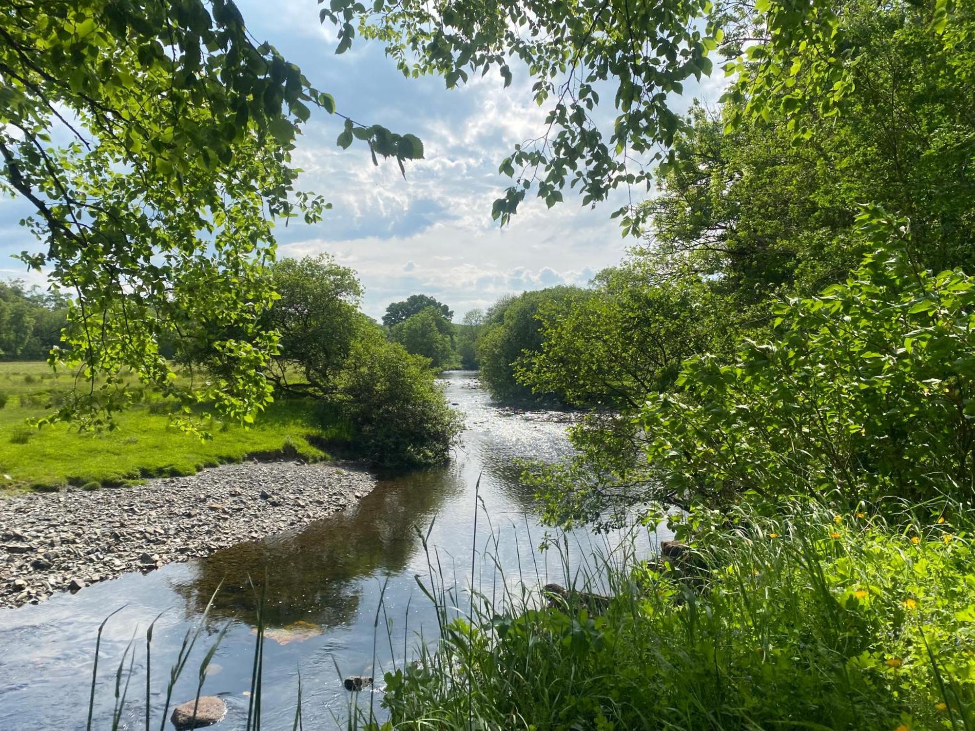 Bronfelin & Troed-Y-Rhiw Holiday Cottage 슬란티드웰즈 외부 사진