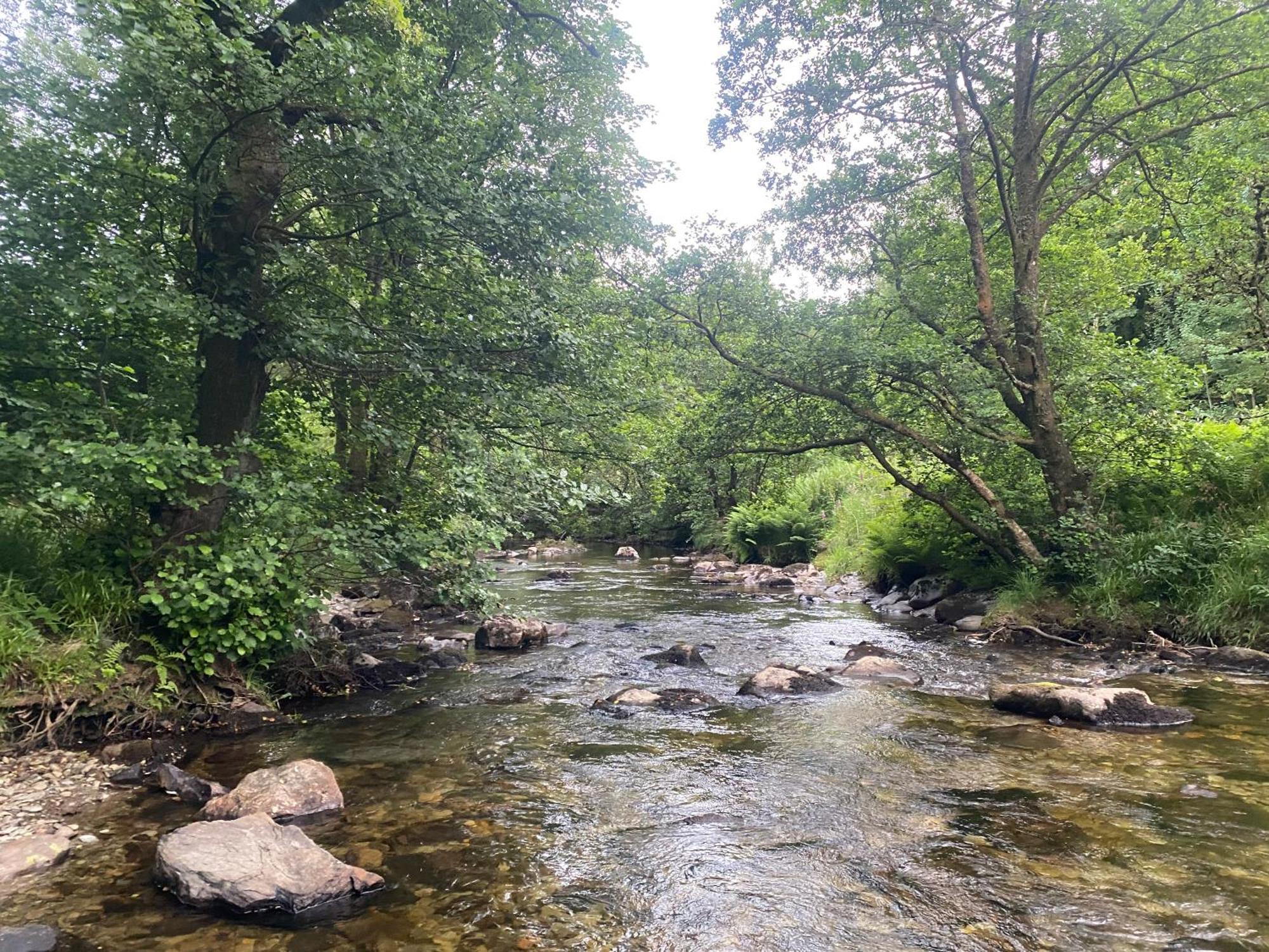 Bronfelin & Troed-Y-Rhiw Holiday Cottage 슬란티드웰즈 외부 사진