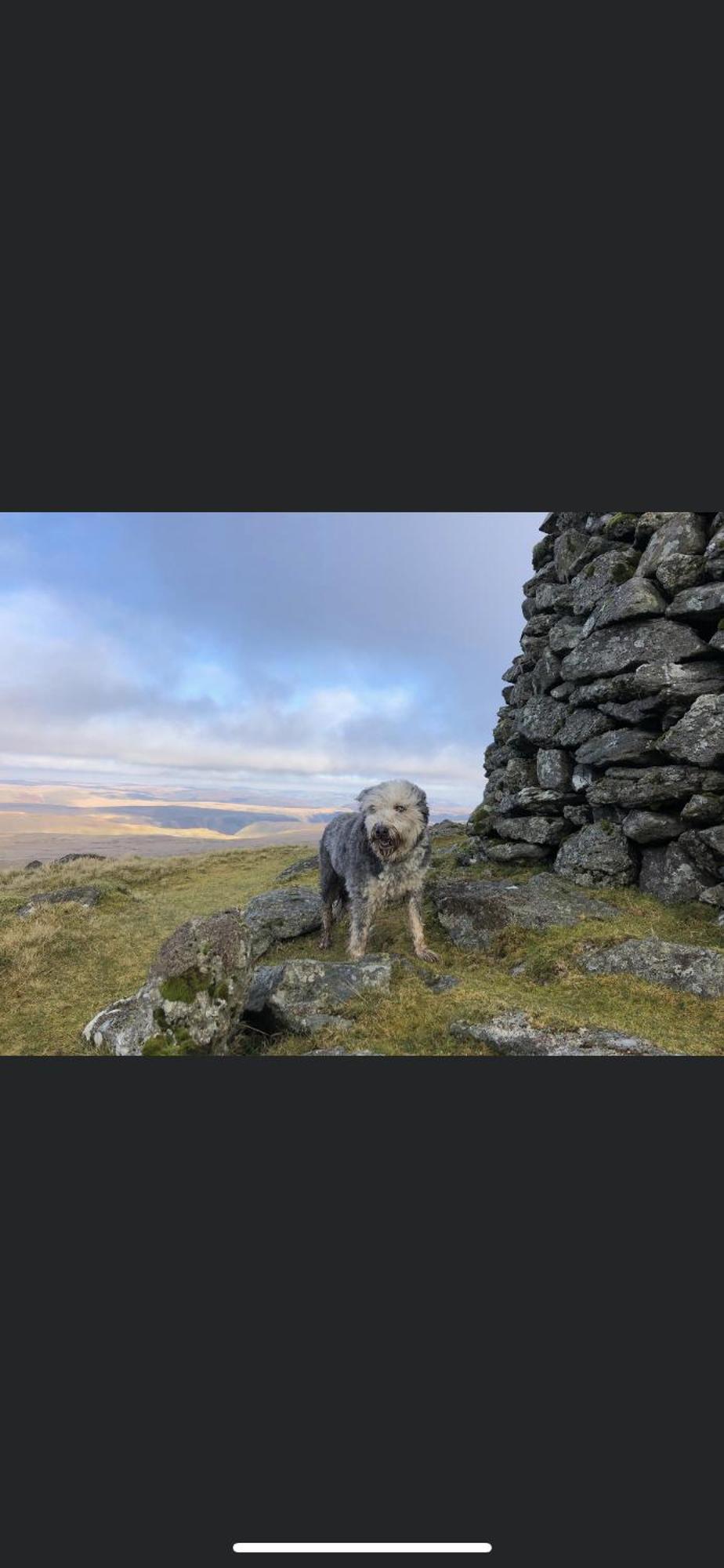 Bronfelin & Troed-Y-Rhiw Holiday Cottage 슬란티드웰즈 외부 사진