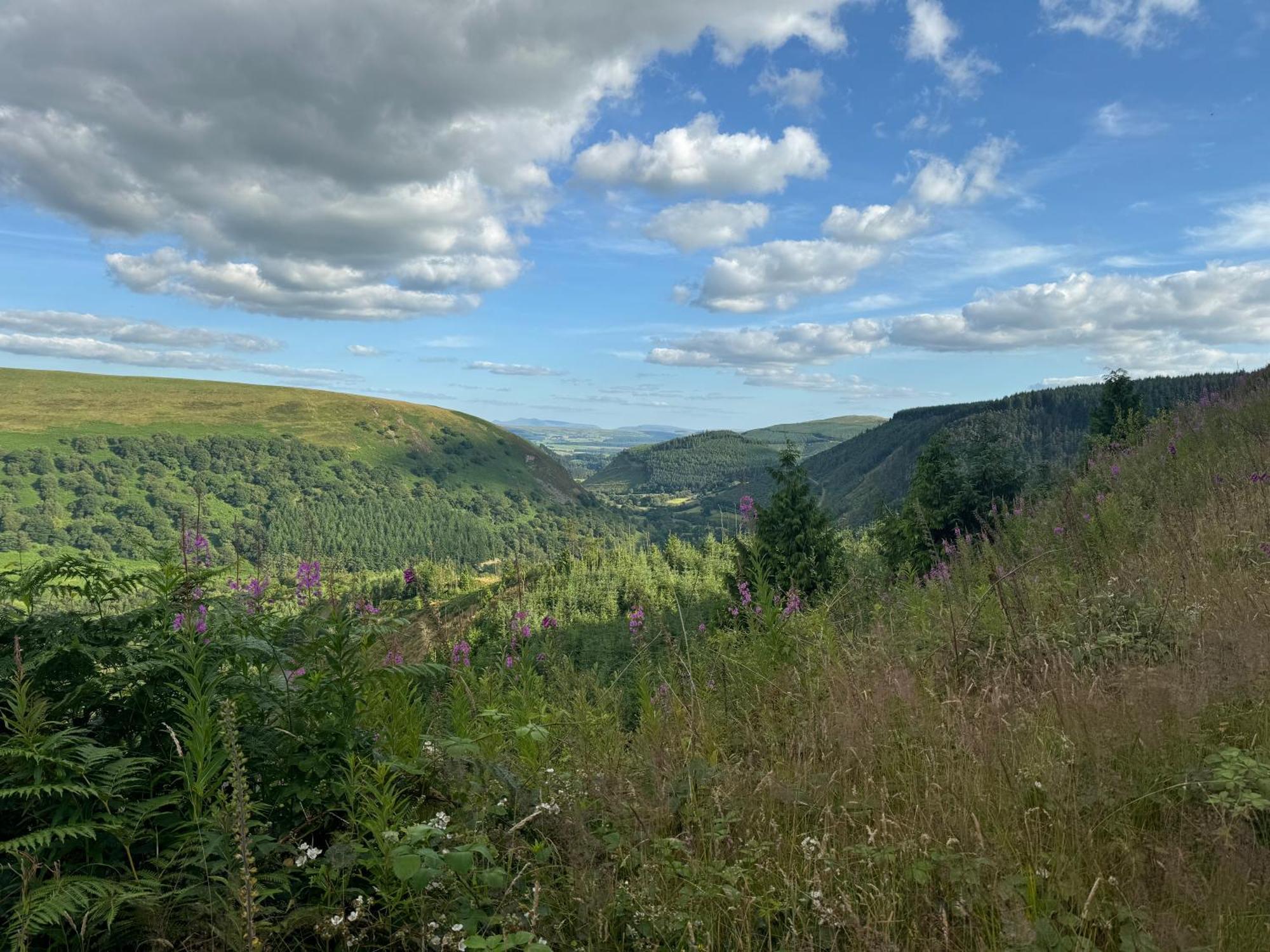 Bronfelin & Troed-Y-Rhiw Holiday Cottage 슬란티드웰즈 외부 사진