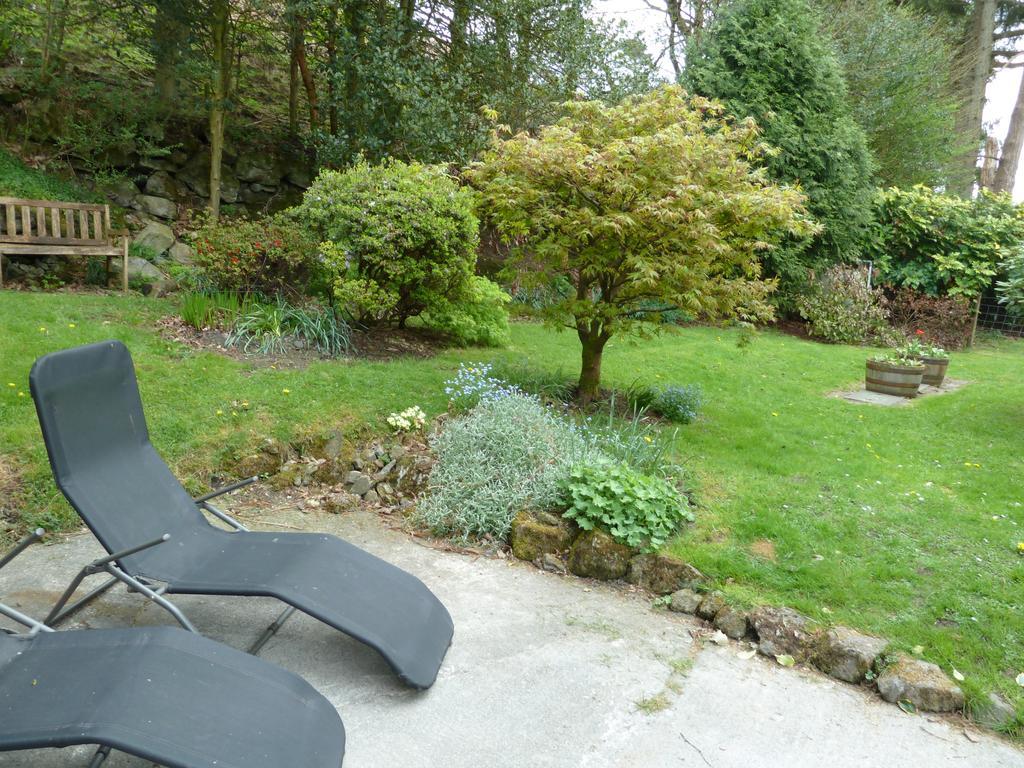 Bronfelin & Troed-Y-Rhiw Holiday Cottage 슬란티드웰즈 외부 사진
