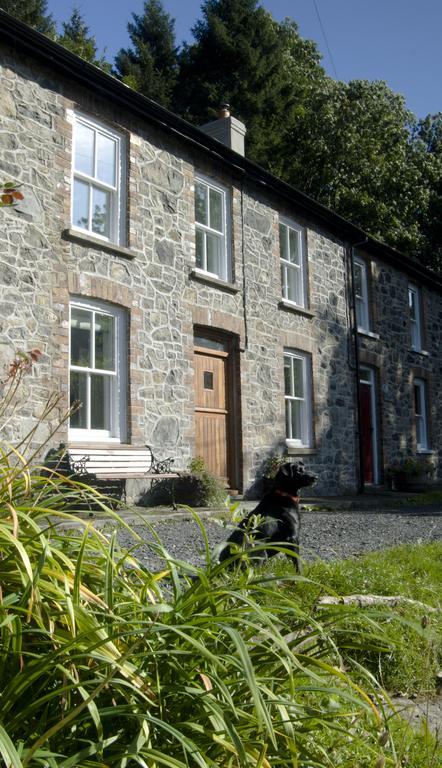 Bronfelin & Troed-Y-Rhiw Holiday Cottage 슬란티드웰즈 외부 사진